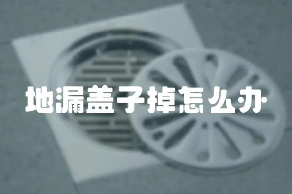 地漏蓋子掉怎么辦