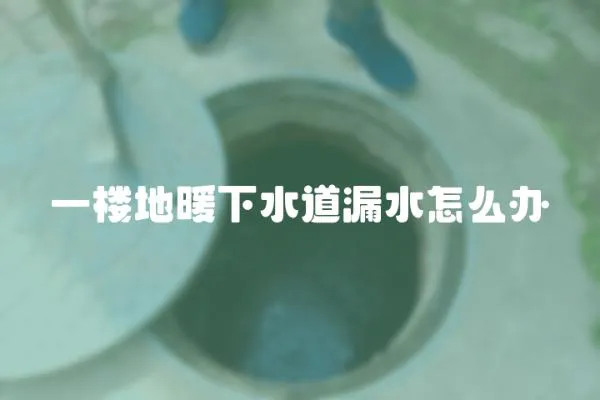 一樓地暖下水道漏水怎么辦