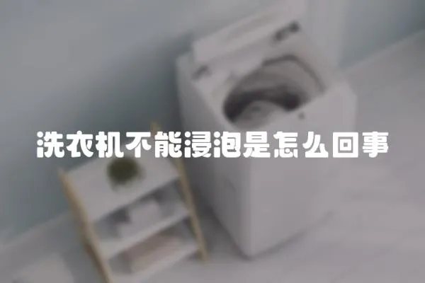 洗衣機不能浸泡是怎么回事