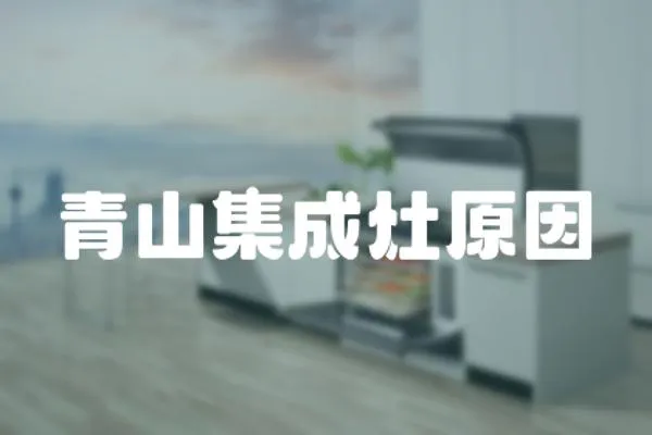 青山集成灶原因