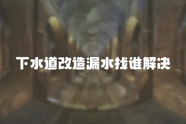 下水道改造漏水找誰解決
