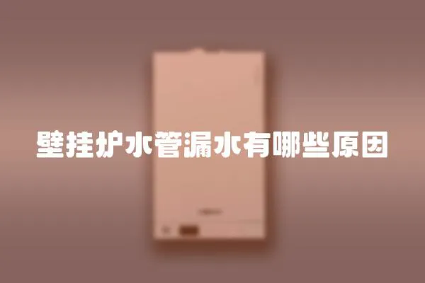 壁掛爐水管漏水有哪些原因