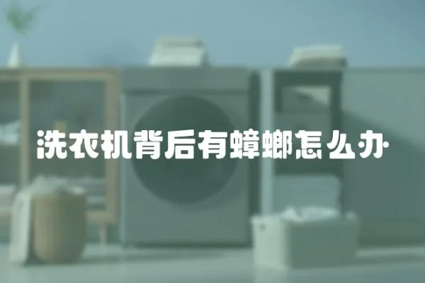 洗衣機背后有蟑螂怎么辦