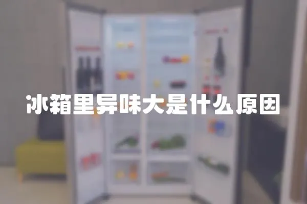 冰箱里異味大是什么原因