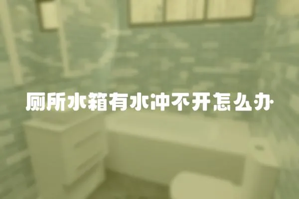 廁所水箱有水沖不開怎么辦