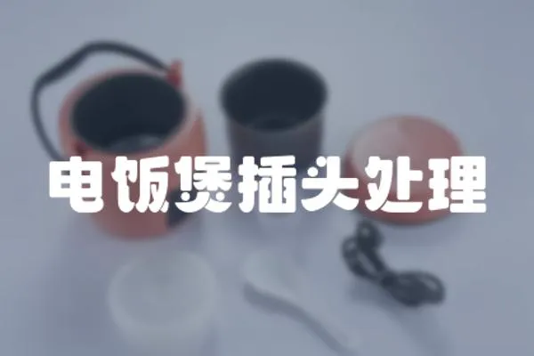 電飯煲插頭處理