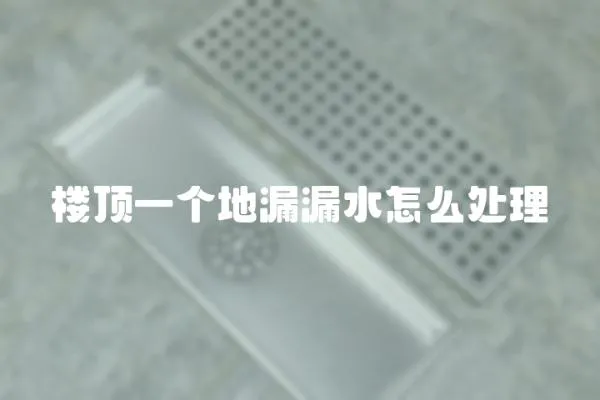 樓頂一個地漏漏水怎么處理
