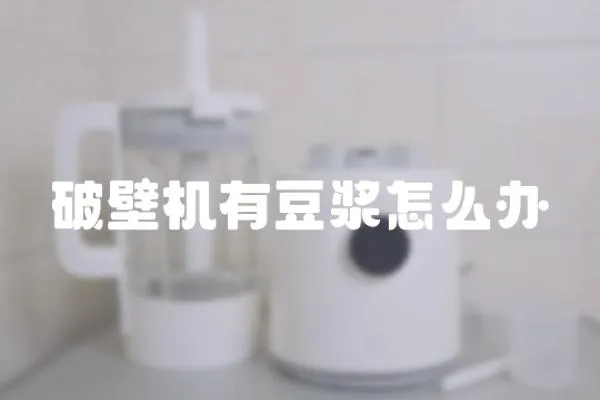 破壁機有豆漿怎么辦