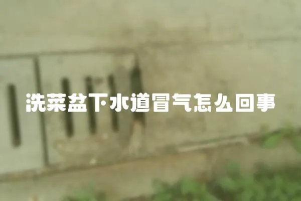 洗菜盆下水道冒氣怎么回事