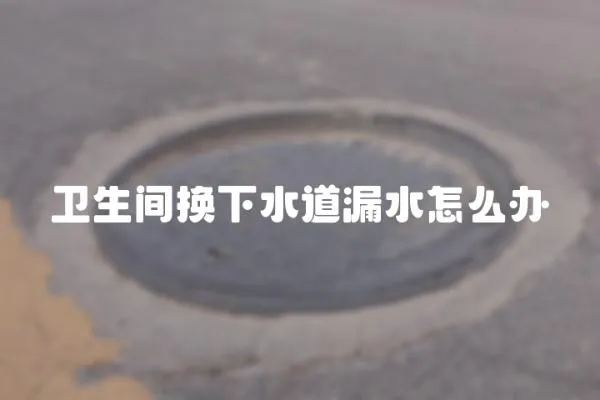 衛生間換下水道漏水怎么辦