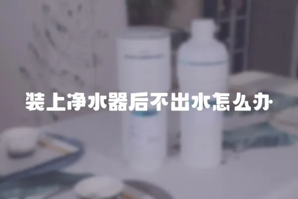 裝上凈水器后不出水怎么辦