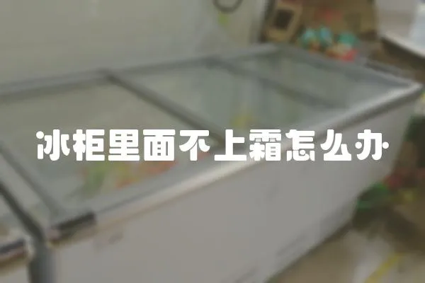 冰柜里面不上霜怎么辦