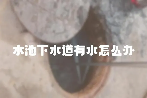 水池下水道有水怎么辦