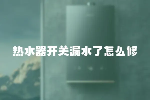 熱水器開關(guān)漏水了怎么修