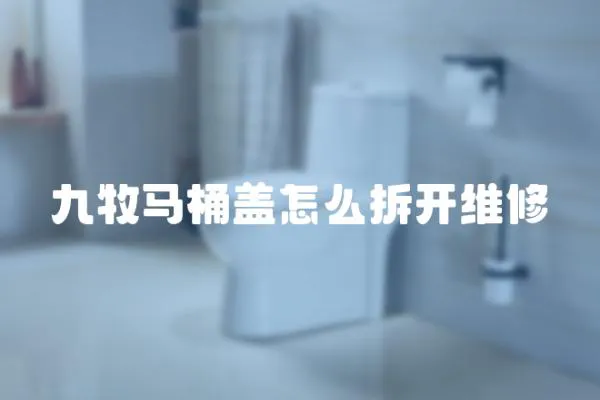 九牧馬桶蓋怎么拆開維修