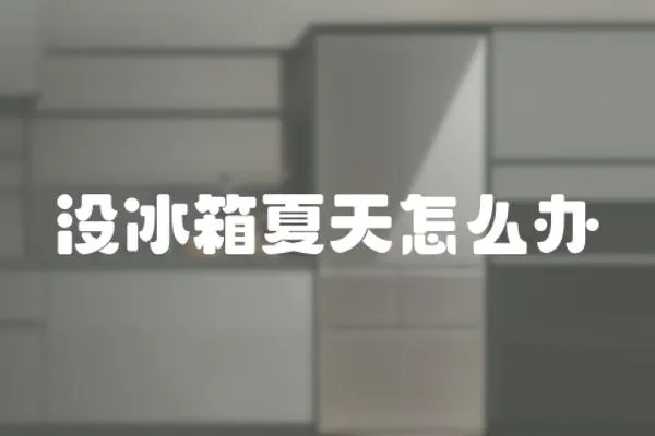 沒冰箱夏天怎么辦