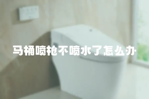 馬桶噴槍不噴水了怎么辦