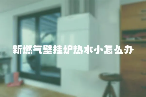 新燃氣壁掛爐熱水小怎么辦