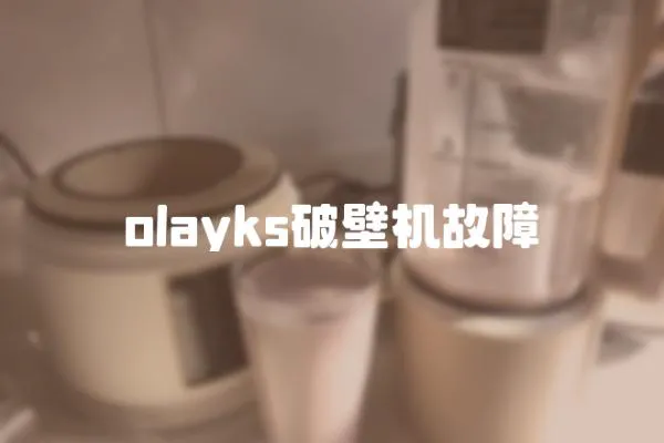 olayks破壁機故障