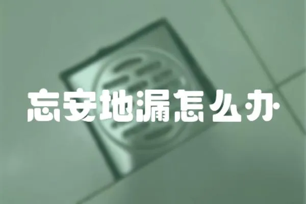 忘安地漏怎么辦