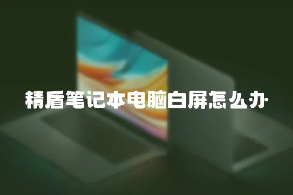 精盾筆記本電腦白屏怎么辦
