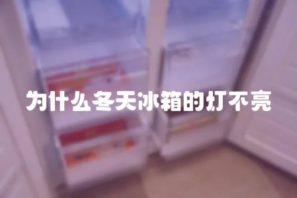 為什么冬天冰箱的燈不亮