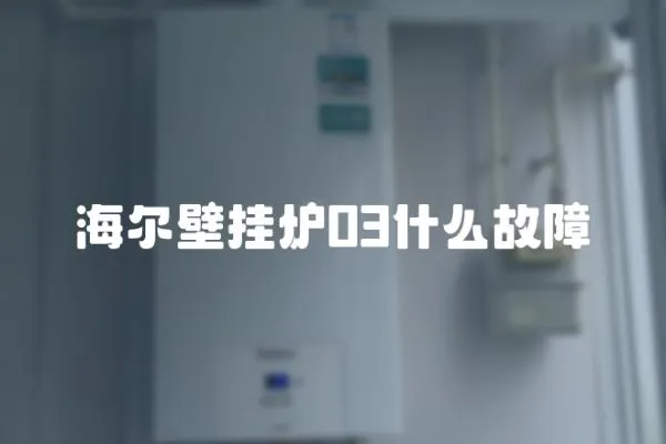 海爾壁掛爐03什么故障