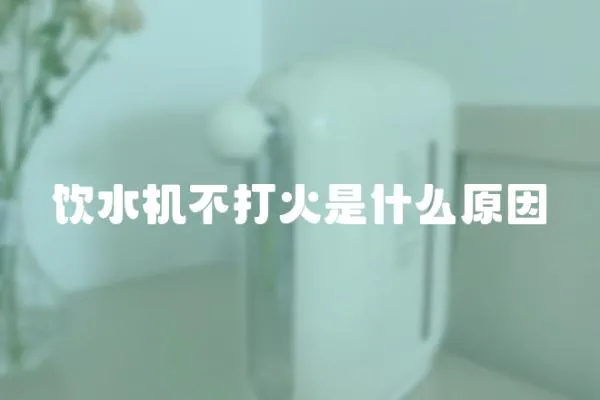 飲水機(jī)不打火是什么原因