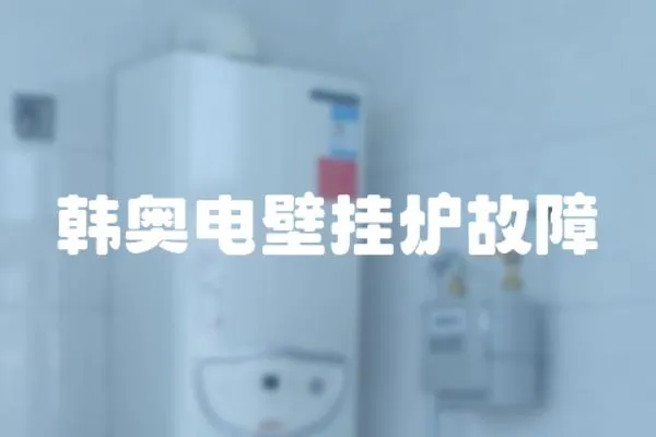 韓奧電壁掛爐故障