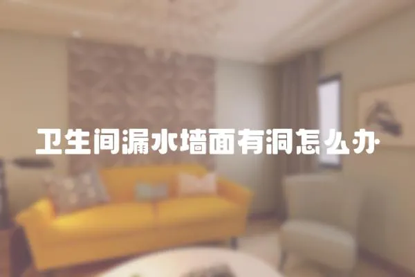 衛(wèi)生間漏水墻面有洞怎么辦