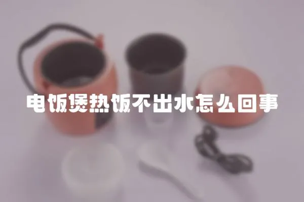 电饭煲热饭不出水怎么回事