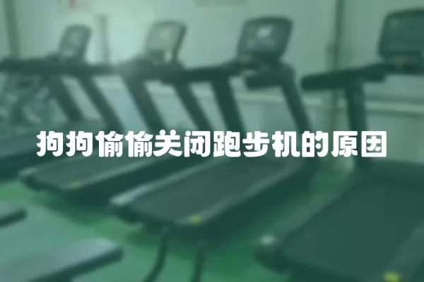 狗狗偷偷關(guān)閉跑步機的原因