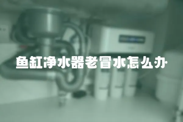 魚缸凈水器老冒水怎么辦