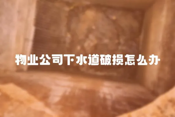 物業公司下水道破損怎么辦