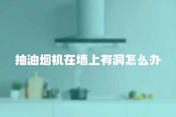 抽油烟机在墙上有洞怎么办