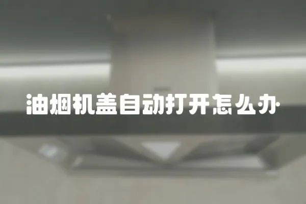 油煙機(jī)蓋自動(dòng)打開(kāi)怎么辦