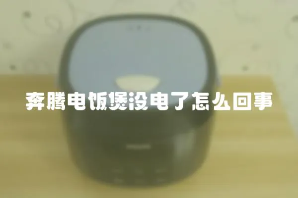 奔騰電飯煲沒電了怎么回事