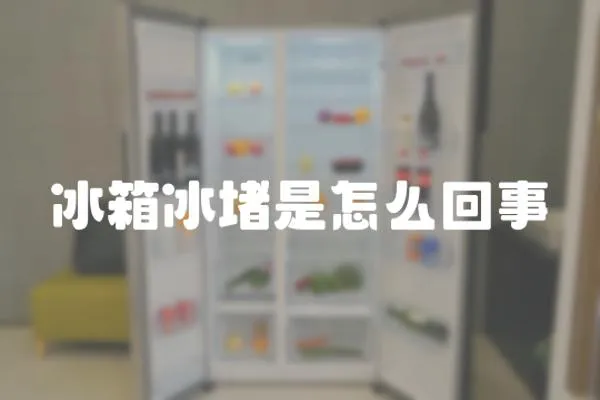 冰箱冰堵是怎么回事