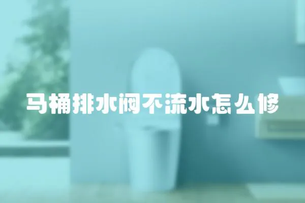 馬桶排水閥不流水怎么修