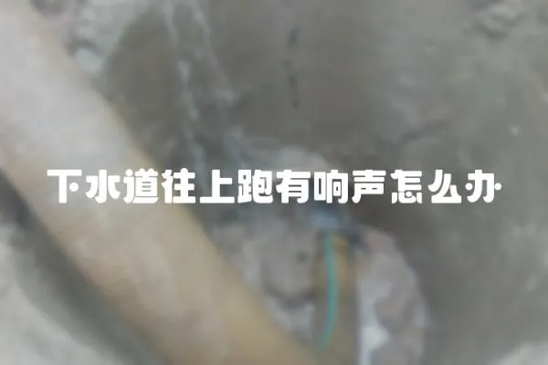 下水道往上跑有響聲怎么辦