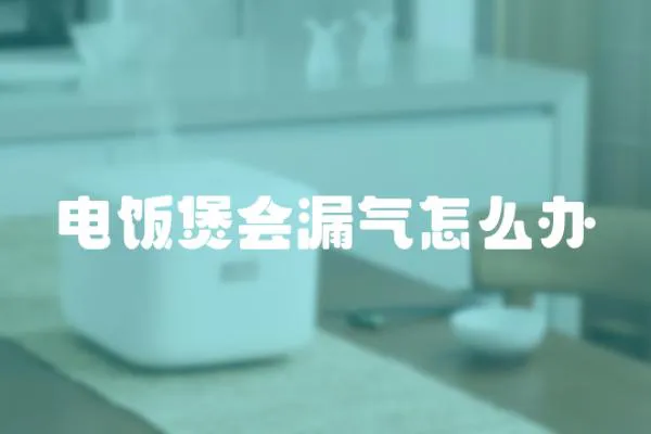 電飯煲會漏氣怎么辦