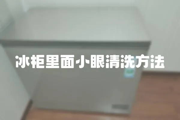 冰柜里面小眼清洗方法
