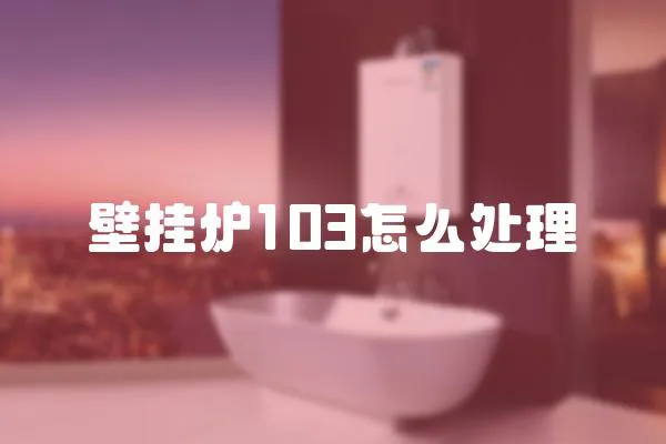 壁掛爐103怎么處理