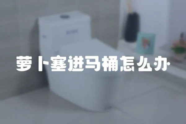 蘿卜塞進馬桶怎么辦