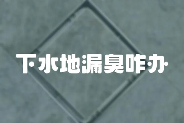 下水地漏臭咋辦