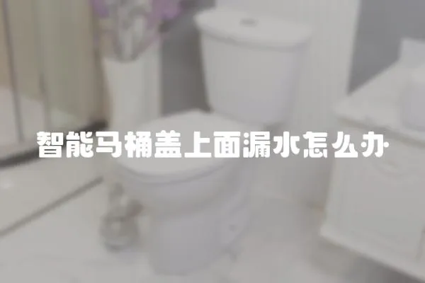 智能马桶盖上面漏水怎么办