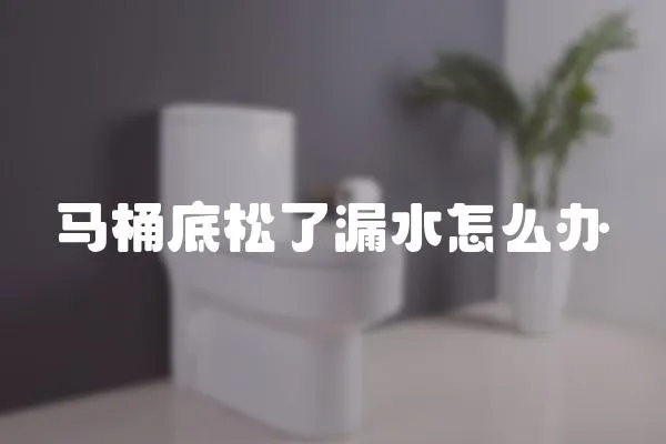 馬桶底松了漏水怎么辦