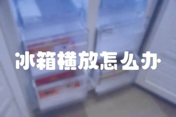 冰箱橫放怎么辦
