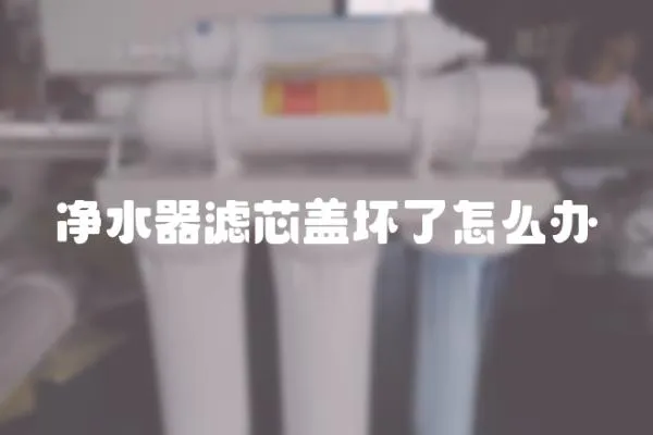 凈水器濾芯蓋壞了怎么辦