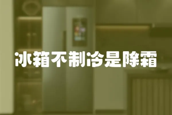 冰箱不制冷是除霜